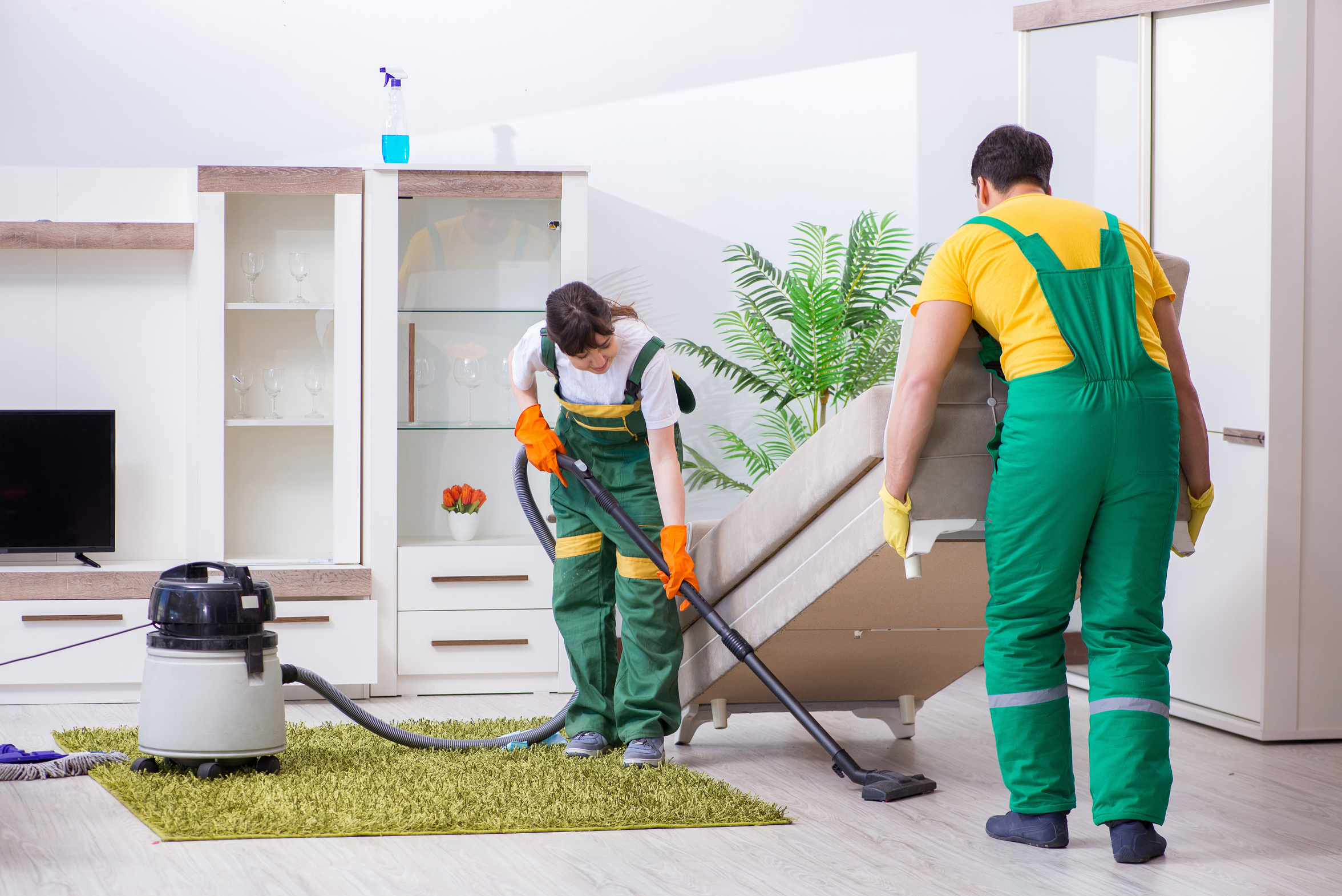 Cleaning Professional Contractors 
